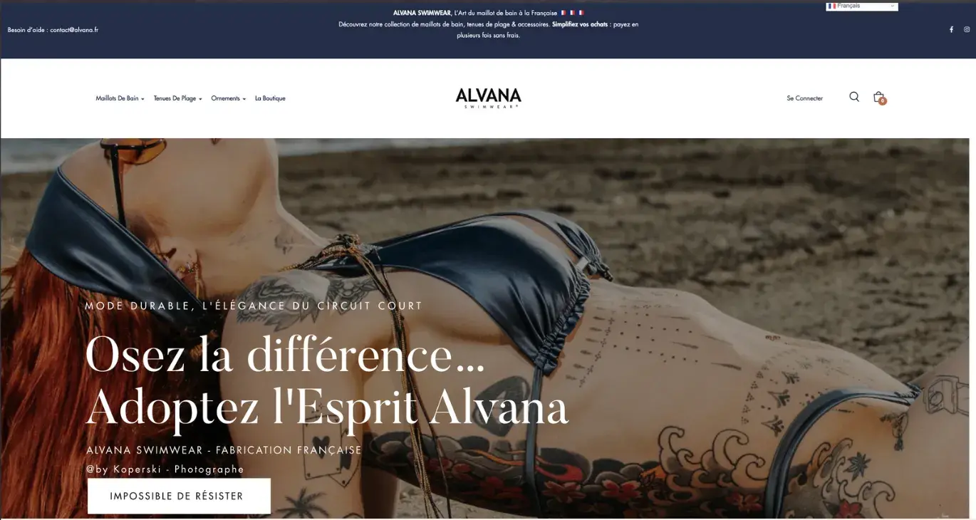 Aperçu de l’audit SEO Alvana